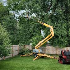 Best Palm Tree Trimming  in Jacksonville, AL
