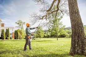 Best Lawn Maintenance Plans  in Jacksonville, AL